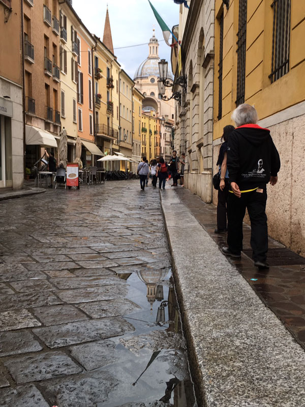 フェスティバル後奇跡の雨（雹）後