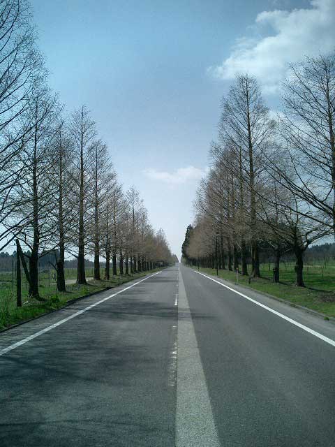 ^ZRCA