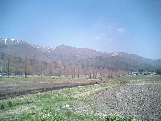 ^ZRCA