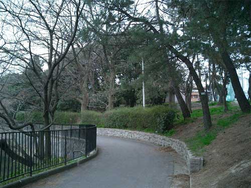 Βn1
