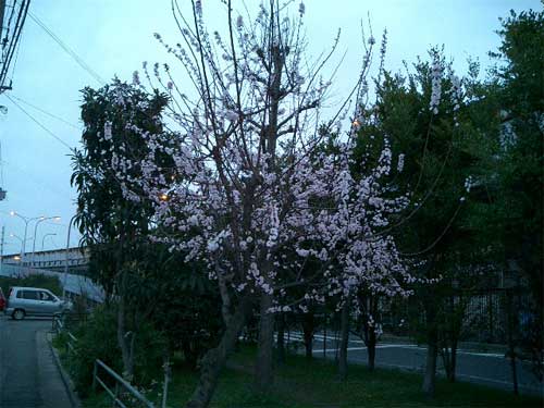 Βn5